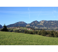 34 Hundetreffen Obermaiselstein 2011